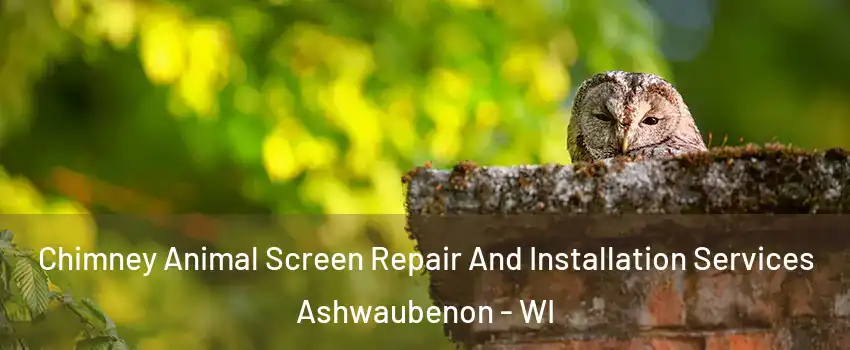 Chimney Animal Screen Repair And Installation Services Ashwaubenon - WI