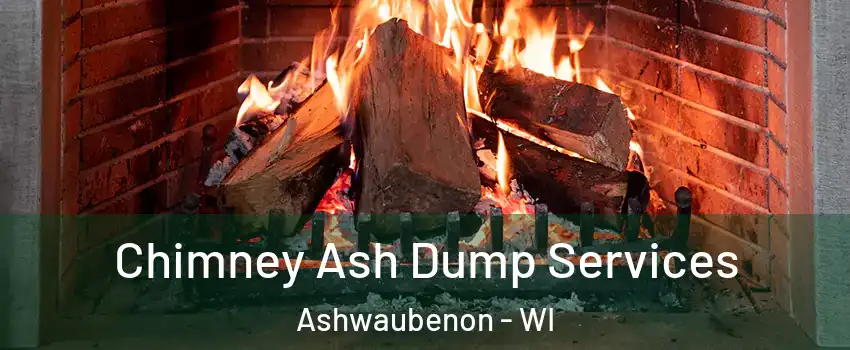  Chimney Ash Dump Services Ashwaubenon - WI