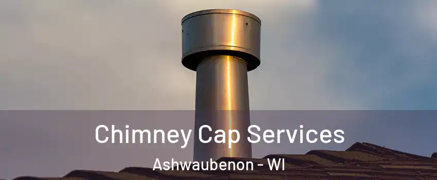  Chimney Cap Services Ashwaubenon - WI