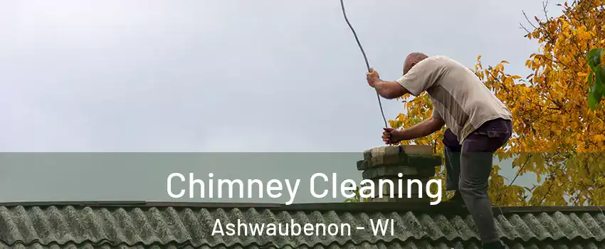 Chimney Cleaning Ashwaubenon - WI