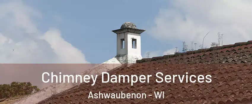  Chimney Damper Services Ashwaubenon - WI