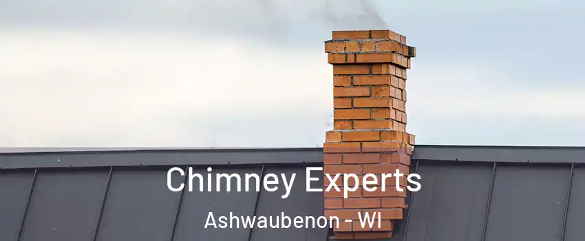 Chimney Experts Ashwaubenon - WI