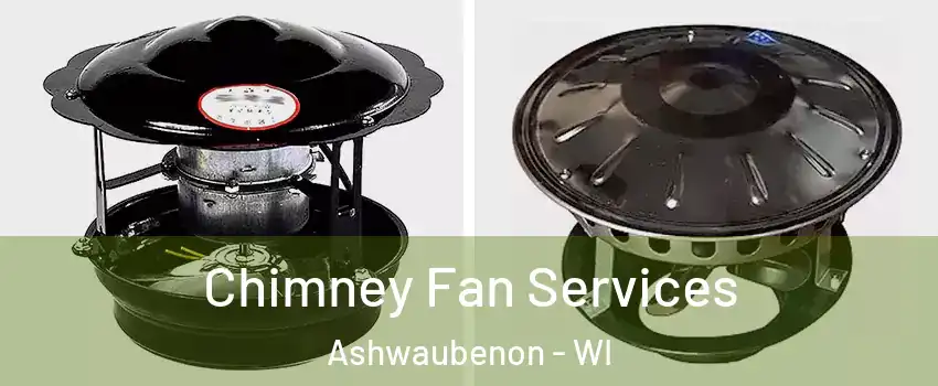Chimney Fan Services Ashwaubenon - WI
