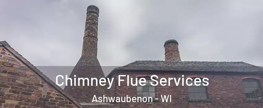  Chimney Flue Services Ashwaubenon - WI