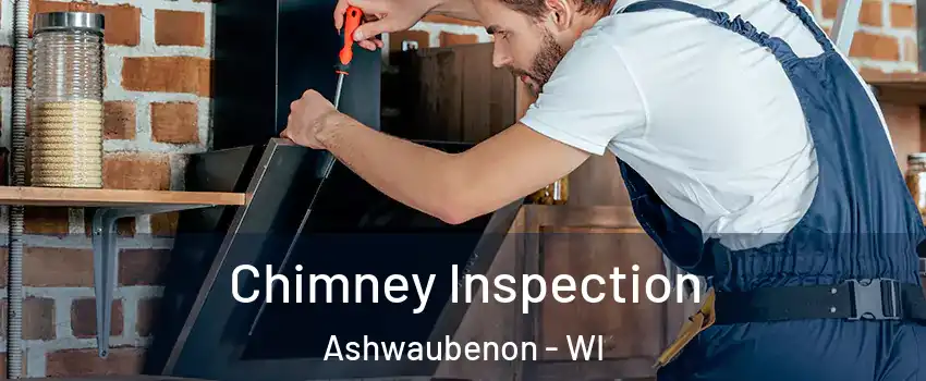  Chimney Inspection Ashwaubenon - WI