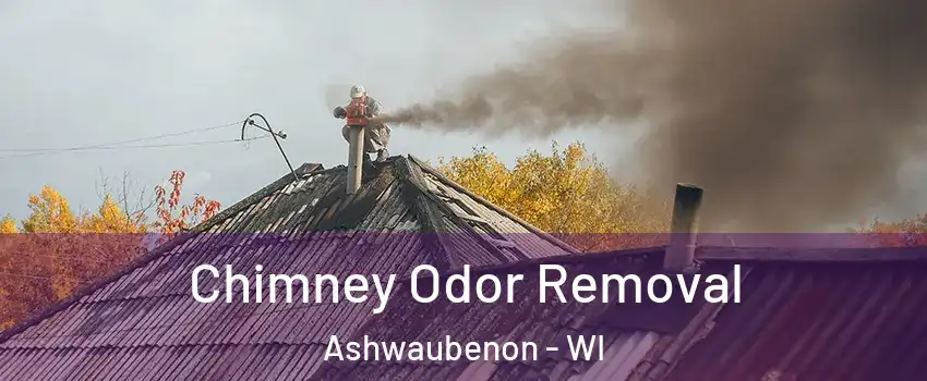 Chimney Odor Removal Ashwaubenon - WI