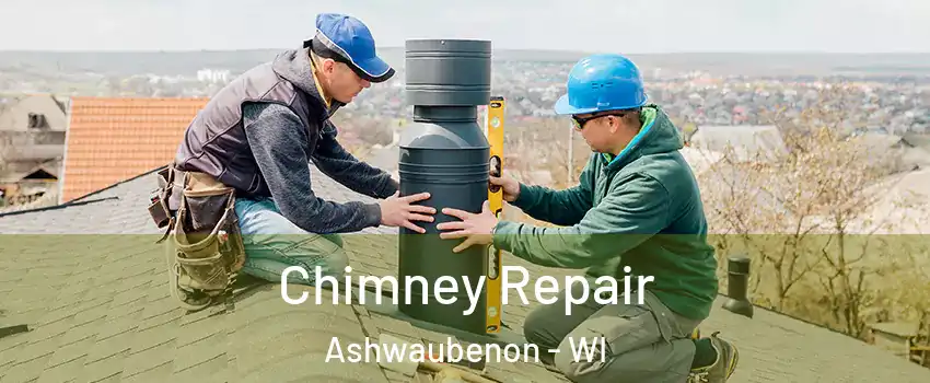 Chimney Repair Ashwaubenon - WI