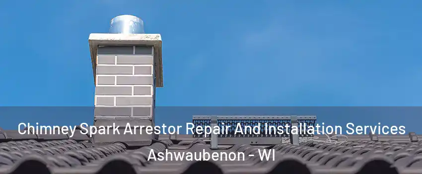  Chimney Spark Arrestor Repair And Installation Services Ashwaubenon - WI