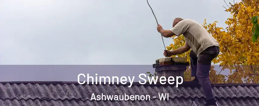  Chimney Sweep Ashwaubenon - WI