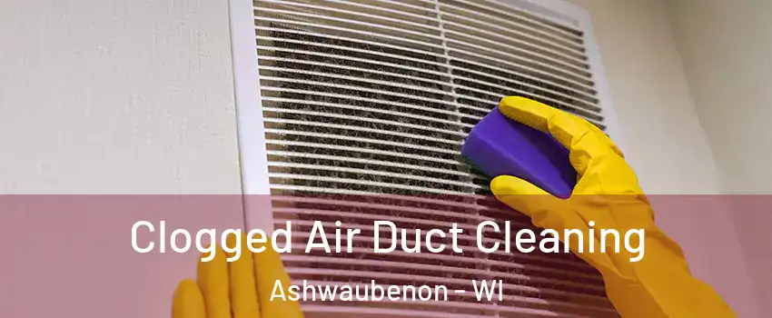 Clogged Air Duct Cleaning Ashwaubenon - WI