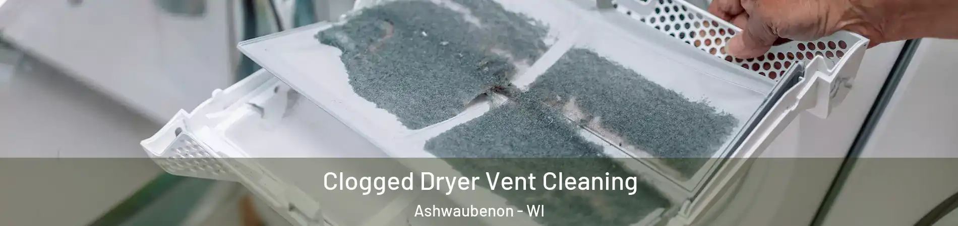  Clogged Dryer Vent Cleaning Ashwaubenon - WI