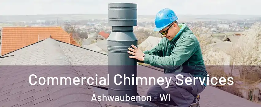 Commercial Chimney Services Ashwaubenon - WI