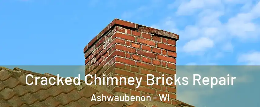 Cracked Chimney Bricks Repair Ashwaubenon - WI