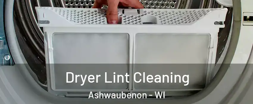  Dryer Lint Cleaning Ashwaubenon - WI