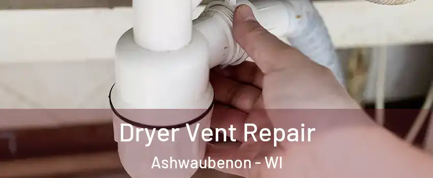 Dryer Vent Repair Ashwaubenon - WI