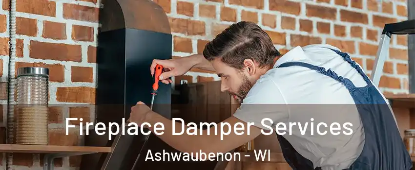  Fireplace Damper Services Ashwaubenon - WI