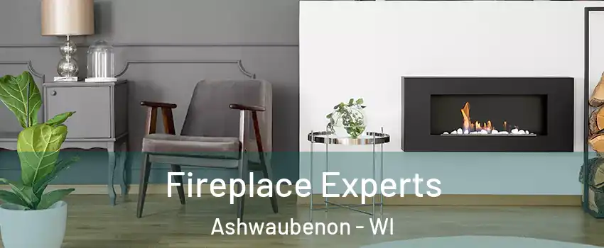  Fireplace Experts Ashwaubenon - WI