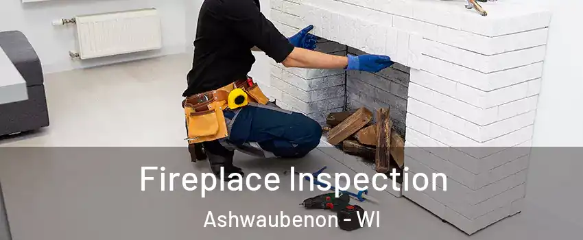  Fireplace Inspection Ashwaubenon - WI