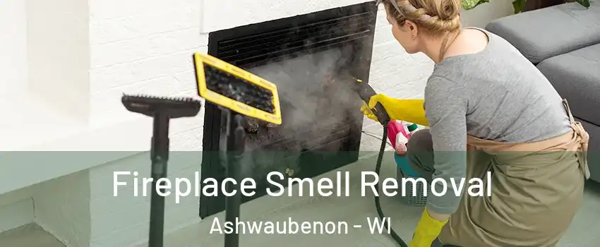  Fireplace Smell Removal Ashwaubenon - WI