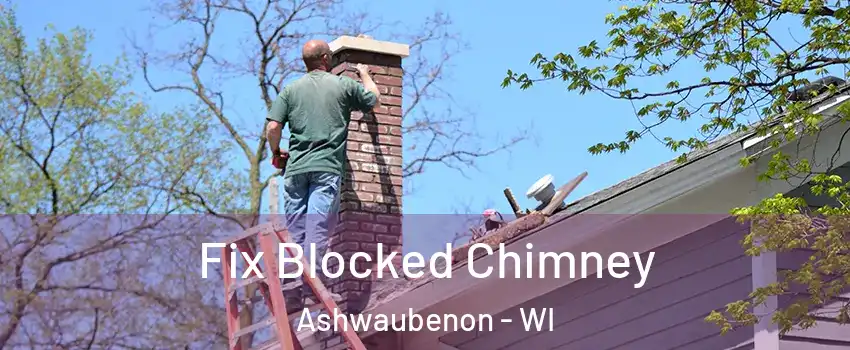  Fix Blocked Chimney Ashwaubenon - WI