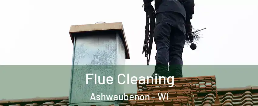  Flue Cleaning Ashwaubenon - WI