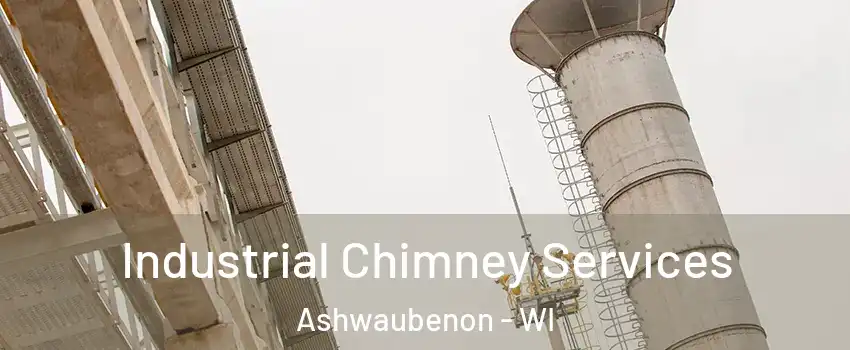 Industrial Chimney Services Ashwaubenon - WI