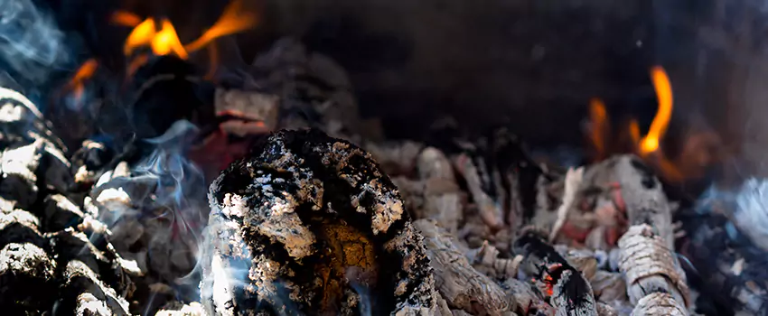 Creosote Removal Experts in Ashwaubenon, WI