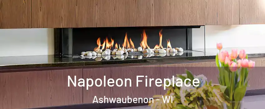 Napoleon Fireplace Ashwaubenon - WI