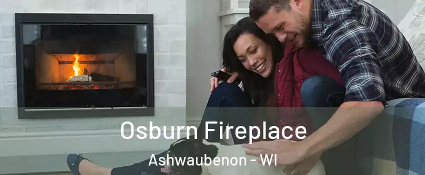  Osburn Fireplace Ashwaubenon - WI