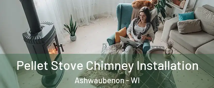  Pellet Stove Chimney Installation Ashwaubenon - WI