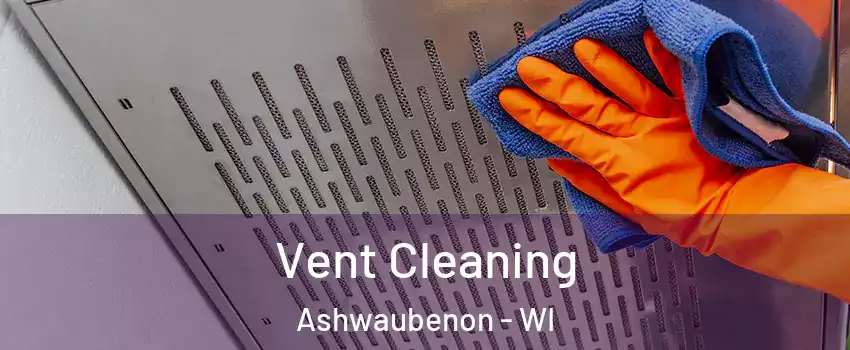  Vent Cleaning Ashwaubenon - WI