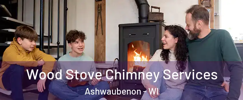 Wood Stove Chimney Services Ashwaubenon - WI
