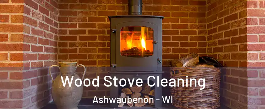 Wood Stove Cleaning Ashwaubenon - WI